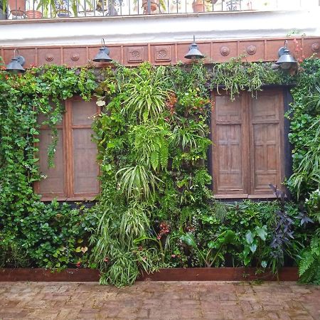 Ferienwohnung La Gota De Leche 4 Sanlúcar de Barrameda Exterior foto