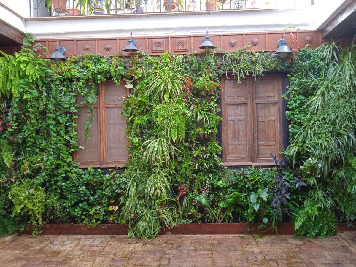 Ferienwohnung La Gota De Leche 4 Sanlúcar de Barrameda Exterior foto